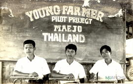 สามผู้นำ Young Farmer ในโครงการนำร่องกำลังพูดคุยในที่ประชุม ข้อความหลังภาพ: Three leaders of the ...